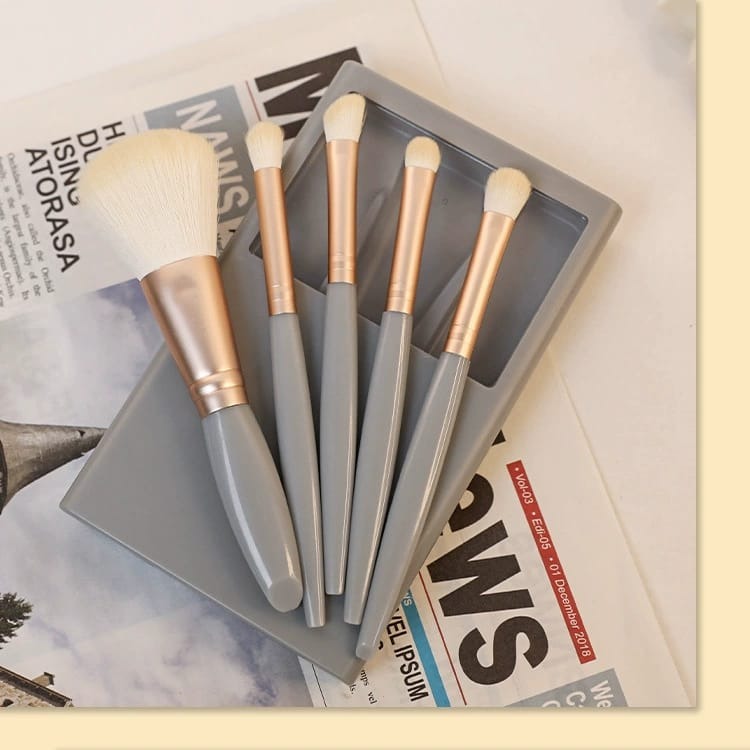 Set x5 Brochas Profesionales con Espejo Fenix